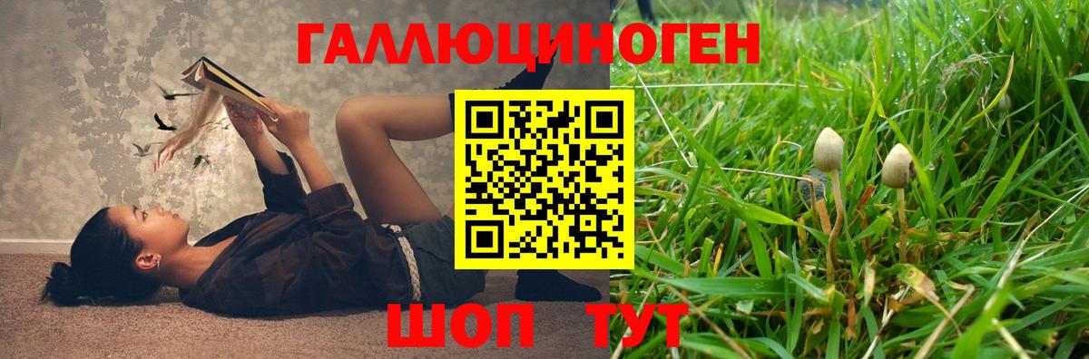 Галлюциногенные грибы Cubensis Жигулёвск
