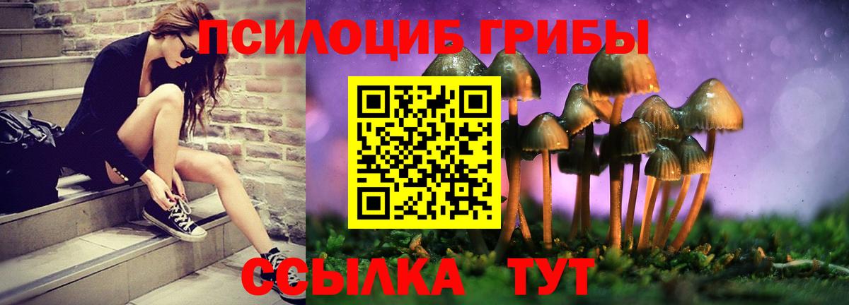 Жигулёвск  Псилоцибиновые грибы Psilocybine cubensis  Вход с VPN  Галлюциногенные грибы Psilocybine cubensis 
